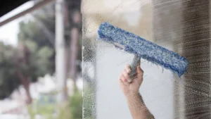 "professional window cleaning service using tools of the trade to clean the window"