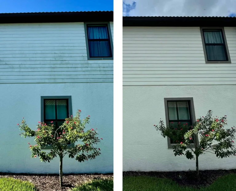 Exterior House Washing Results